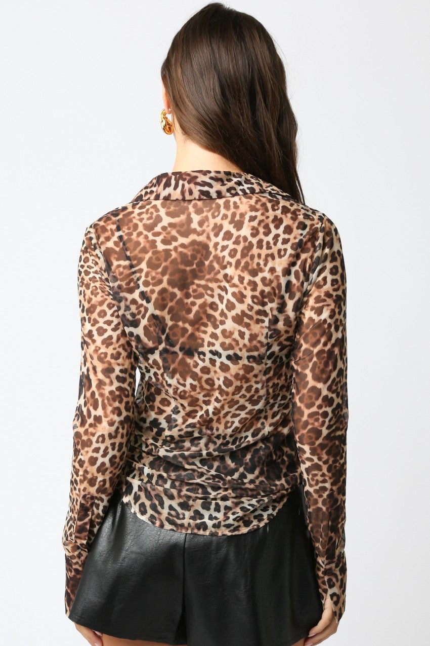 Collared Leopard Mesh Top