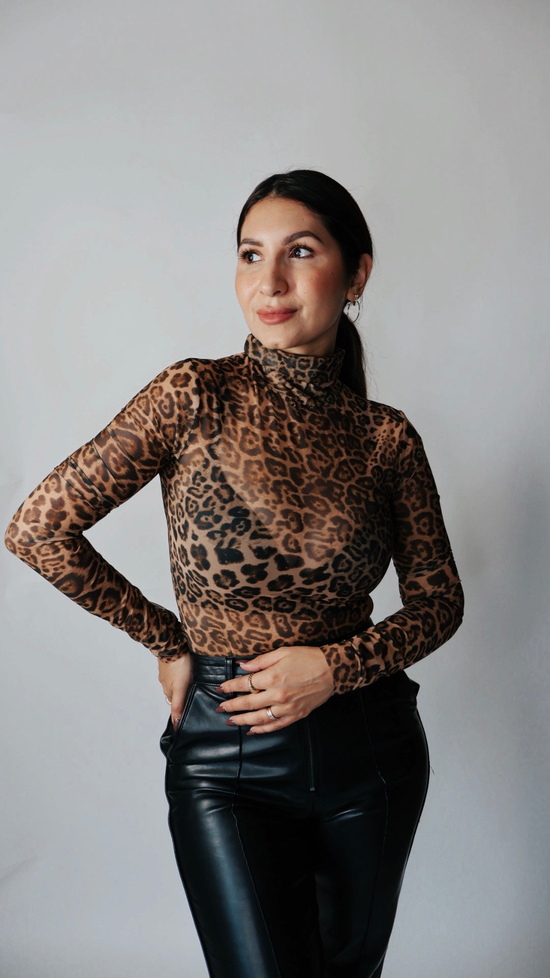 Lux Sheer Leopard Turtleneck