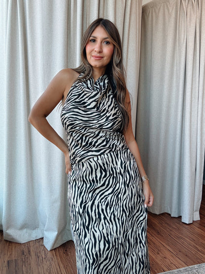 Zebra Halter