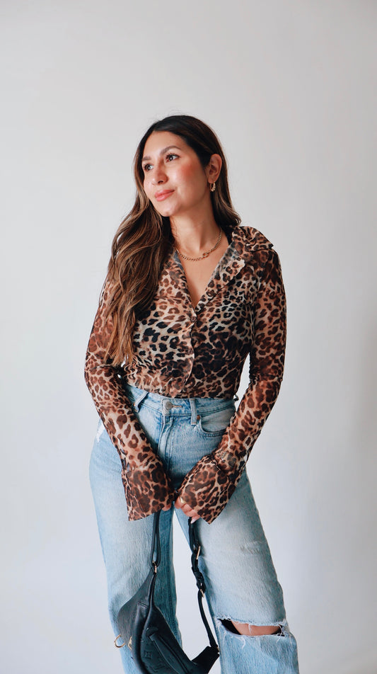 Collared Leopard Mesh Top