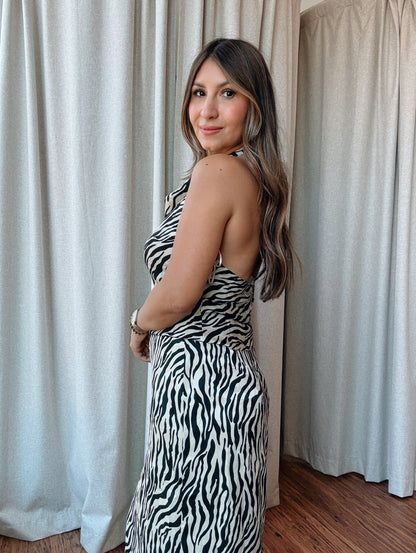 Zebra Halter