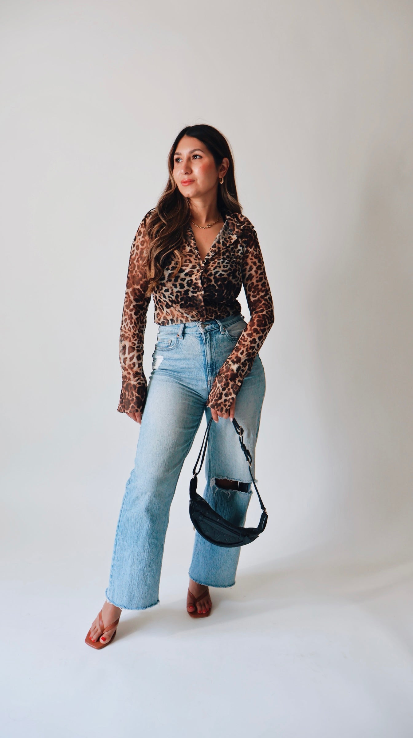 Collared Leopard Mesh Top